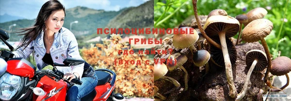 СК Бугульма