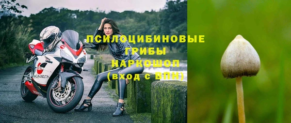 синтетический гашиш Бородино
